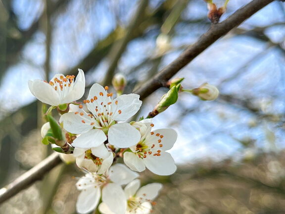 23-03-17 10-40-06 4879